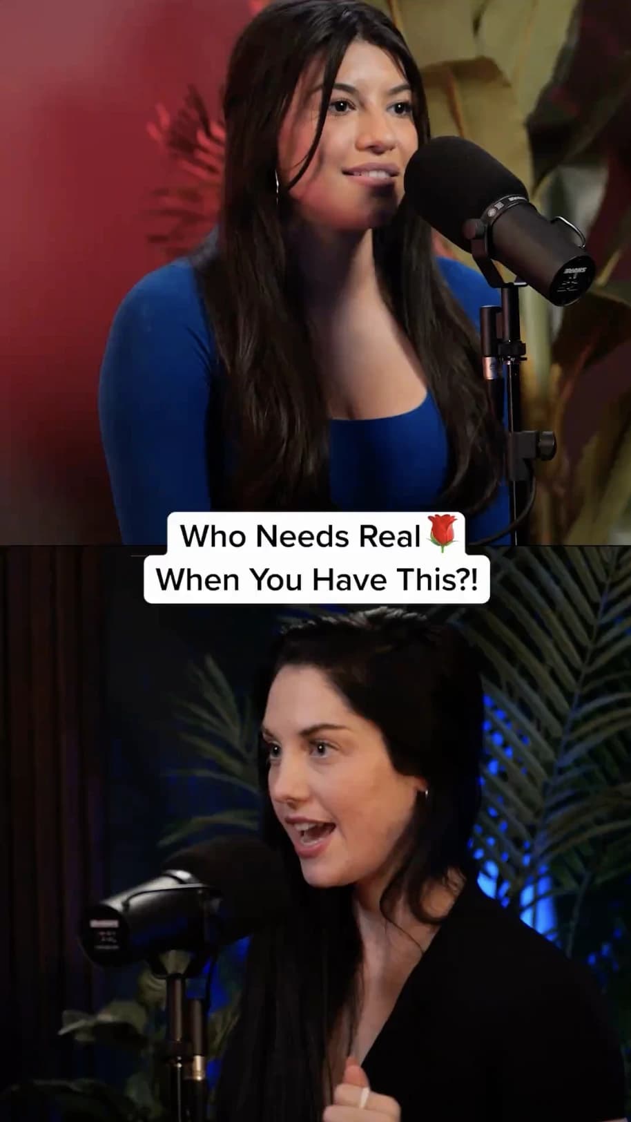 Portfolio thumbnail 12