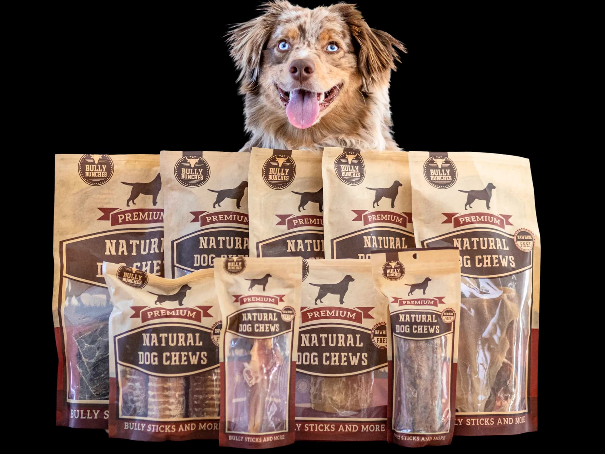 Bully Bunches Achieves 3.80 ROAS Boost with Strategic UGC Solutions