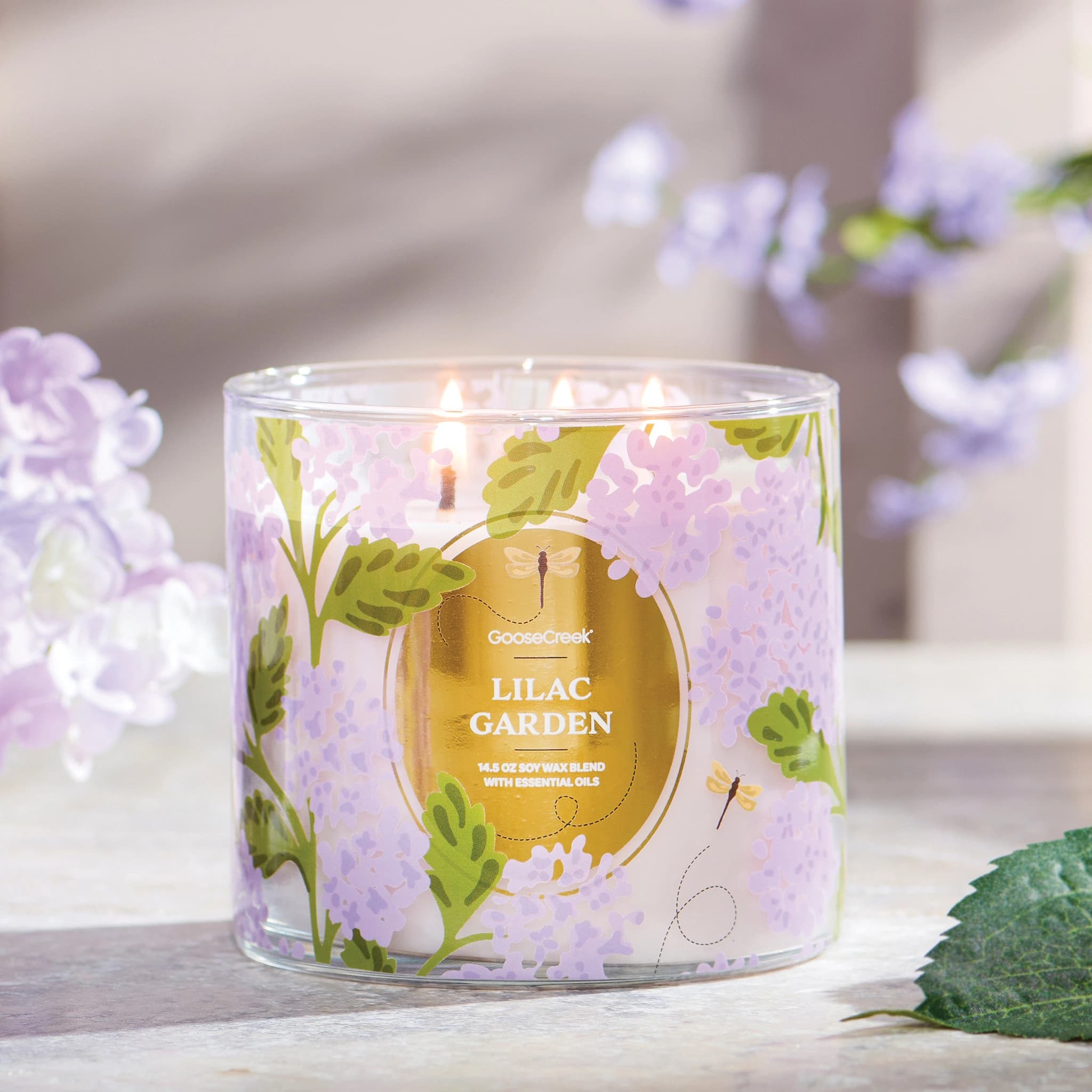 Goose Creek Surpasses 3.0 ROAS with $400k UGC Ad Spend Success